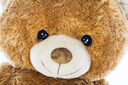 photo of bugged teddy bear false gift
